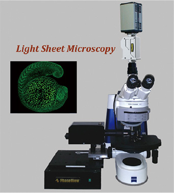 Light Sheet Microscopy